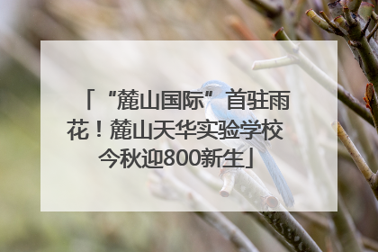“麓山国际”首驻雨花！麓山天华实验学校今秋迎800新生