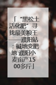“黑松土活化肥”寻找最美粮王——濮阳站：碱地变肥地 濮阳小麦亩产1500多斤