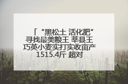 “黑松土 活化肥”寻找最美粮王 莘县王巧英小麦实打实收亩产1515.4斤 超对照田144斤！