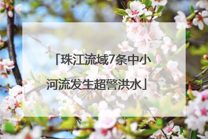 珠江流域7条中小河流发生超警洪水