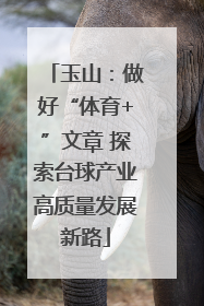 玉山：做好“体育+”文章 探索台球产业高质量发展新路