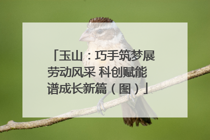 玉山：巧手筑梦展劳动风采 科创赋能谱成长新篇（图）