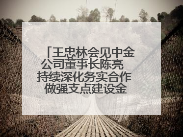 王忠林会见中金公司董事长陈亮 持续深化务实合作 做强支点建设金融支撑