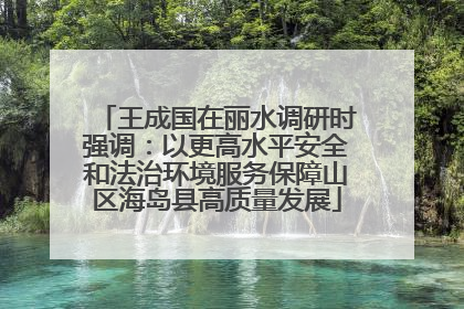 王成国在丽水调研时强调：以更高水平安全和法治环境服务保障山区海岛县高质量发展