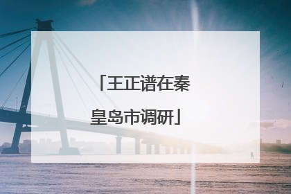 王正谱在秦皇岛市调研