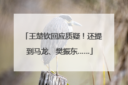 王楚钦回应质疑！还提到马龙、樊振东……
