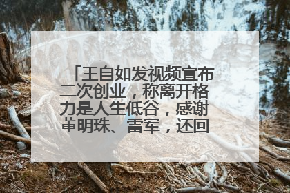 王自如发视频宣布二次创业，称离开格力是人生低谷，感谢董明珠、雷军，还回应了“工资条”：清楚自己要什么……