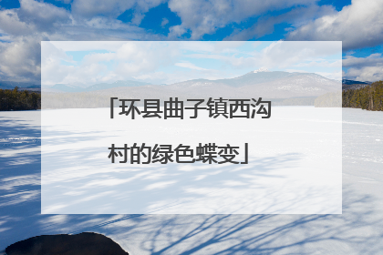 环县曲子镇西沟村的绿色蝶变