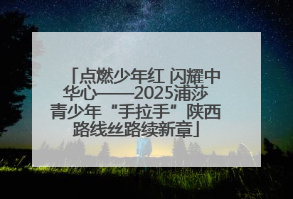 点燃少年红 闪耀中华心——2025浦莎青少年“手拉手”陕西路线丝路续新章