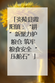 炎陵县霞阳镇：“耕”新聚力护粮仓 筑牢粮食安全“压舱石”