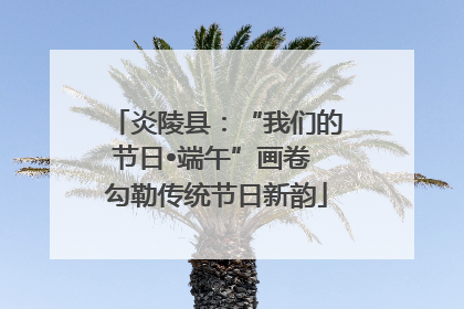 炎陵县：“我们的节日•端午”画卷 勾勒传统节日新韵