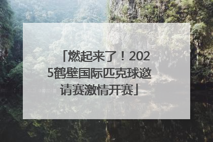 燃起来了！2025鹤壁国际匹克球邀请赛激情开赛