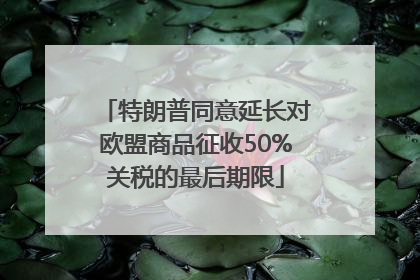 特朗普同意延长对欧盟商品征收50%关税的最后期限