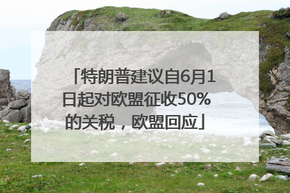 特朗普建议自6月1日起对欧盟征收50%的关税，欧盟回应
