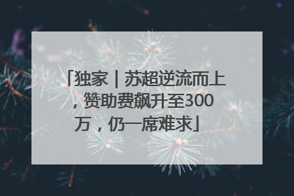 独家｜苏超逆流而上，赞助费飙升至300万，仍一席难求