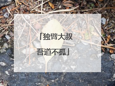 独臂大叔 吾道不孤