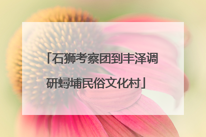 石狮考察团到丰泽调研蟳埔民俗文化村