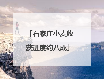 石家庄小麦收获进度约八成