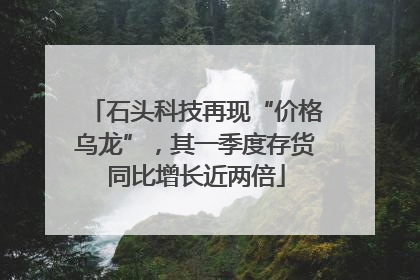 石头科技再现“价格乌龙”，其一季度存货同比增长近两倍