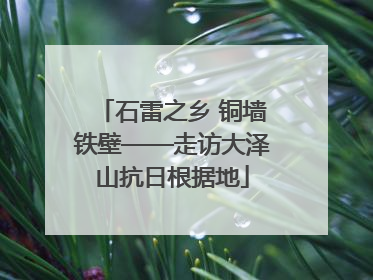 石雷之乡 铜墙铁壁——走访大泽山抗日根据地