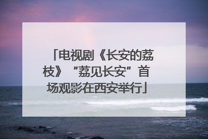 电视剧《长安的荔枝》“荔见长安”首场观影在西安举行