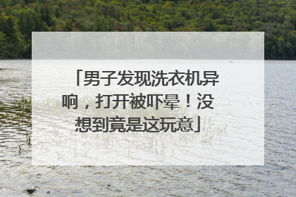 男子发现洗衣机异响，打开被吓晕！没想到竟是这玩意