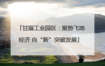 甘眉工业园区：聚势飞地经济 向“新”突破发展