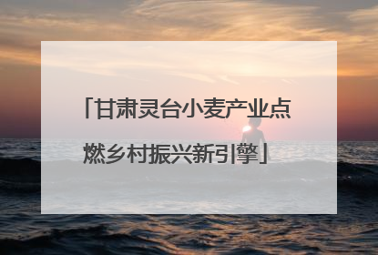 甘肃灵台小麦产业点燃乡村振兴新引擎