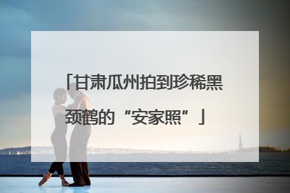 甘肃瓜州拍到珍稀黑颈鹤的“安家照”