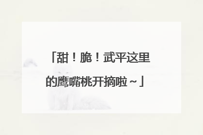 甜！脆！武平这里的鹰嘴桃开摘啦～