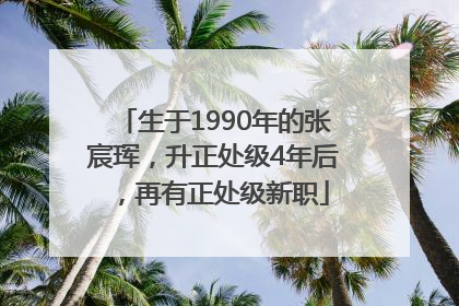 生于1990年的张宸珲，升正处级4年后，再有正处级新职