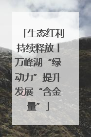生态红利持续释放丨万峰湖“绿动力”提升发展“含金量”