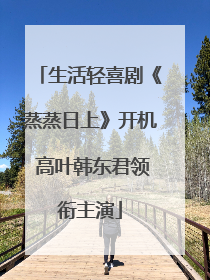 生活轻喜剧《蒸蒸日上》开机 高叶韩东君领衔主演