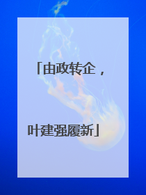 由政转企，叶建强履新