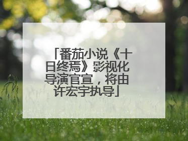 番茄小说《十日终焉》影视化导演官宣，将由许宏宇执导