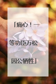 痛心！一等功臣万松因公牺牲