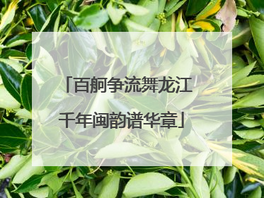 百舸争流舞龙江 千年闽韵谱华章