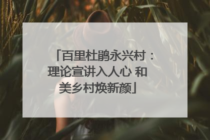 百里杜鹃永兴村：理论宣讲入人心 和美乡村焕新颜