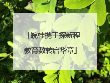 皖桂携手探新程 教育数转启华章