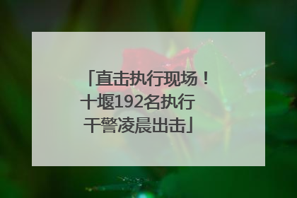 直击执行现场！十堰192名执行干警凌晨出击