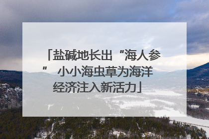 盐碱地长出“海人参” 小小海虫草为海洋经济注入新活力