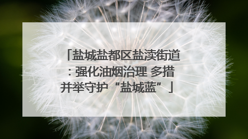 盐城盐都区盐渎街道：强化油烟治理 多措并举守护“盐城蓝”