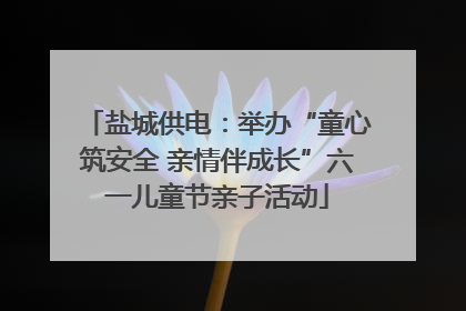 盐城供电：举办“童心筑安全 亲情伴成长”六一儿童节亲子活动
