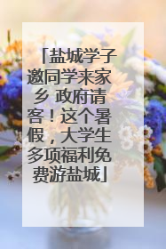 盐城学子邀同学来家乡 政府请客！这个暑假，大学生多项福利免费游盐城