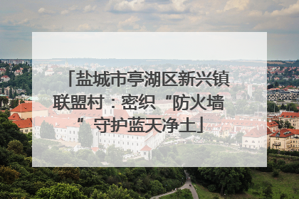 盐城市亭湖区新兴镇联盟村：密织“防火墙”守护蓝天净土