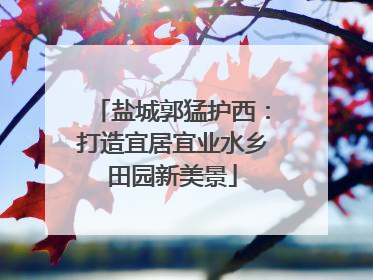 盐城郭猛护西：打造宜居宜业水乡田园新美景
