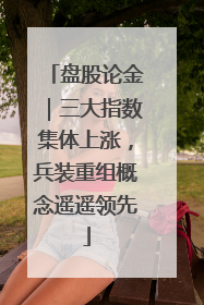 盘股论金｜三大指数集体上涨，兵装重组概念遥遥领先