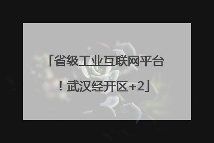 省级工业互联网平台！武汉经开区+2