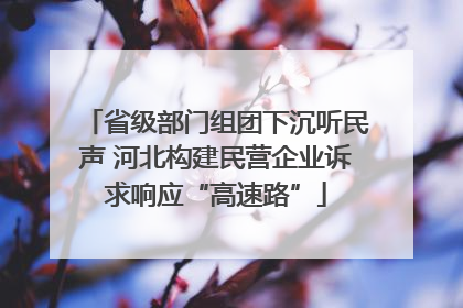 省级部门组团下沉听民声 河北构建民营企业诉求响应“高速路”