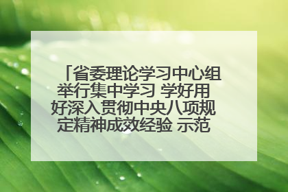 省委理论学习中心组举行集中学习 学好用好深入贯彻中央八项规定精神成效经验 示范带头持续推动全省学习教育走深走实